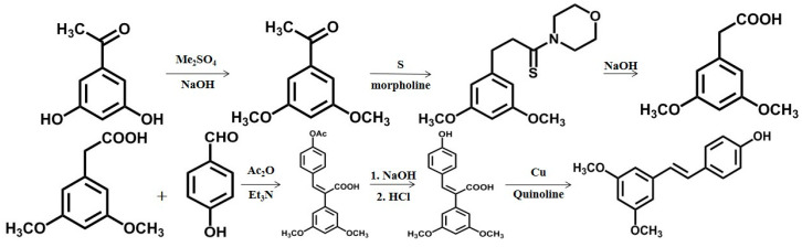 Scheme 2