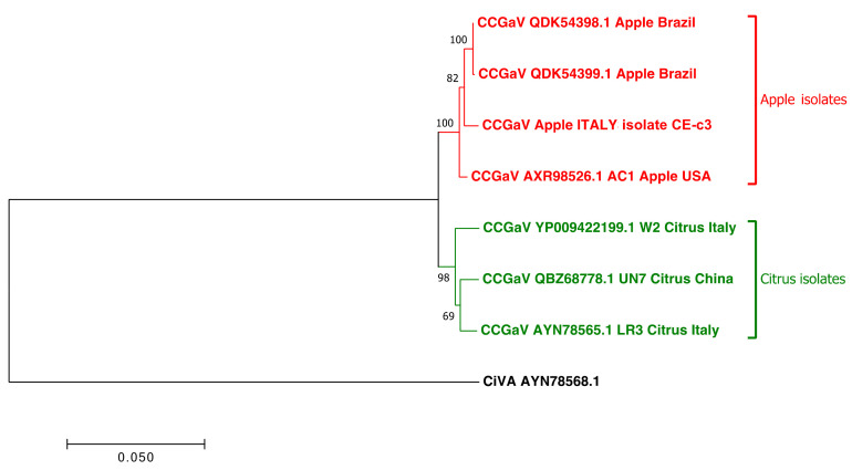 Figure 2