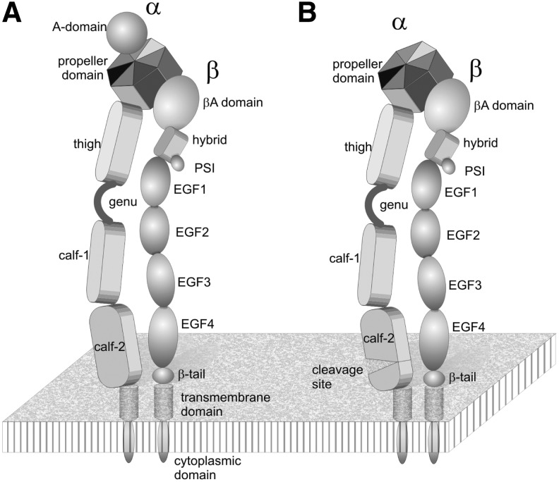 FIG. 5.