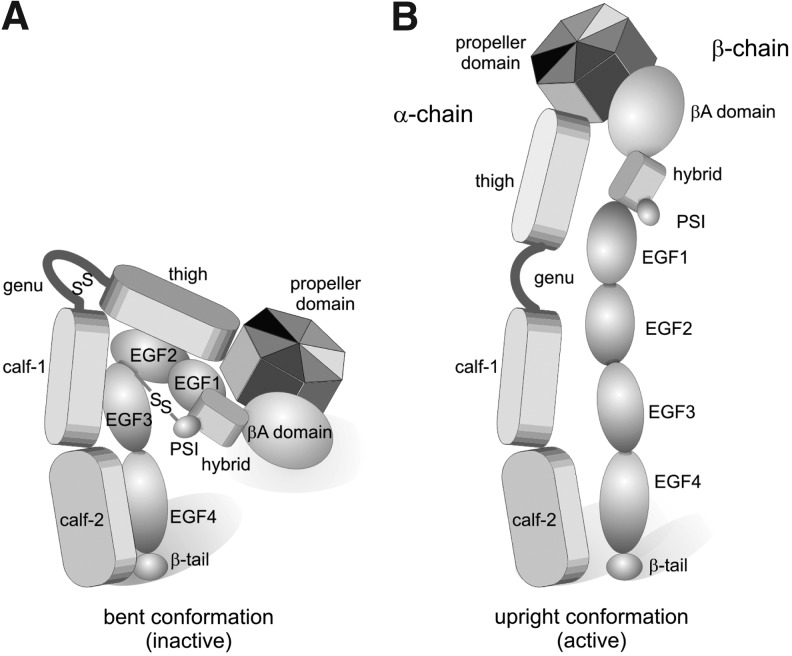 FIG. 7.