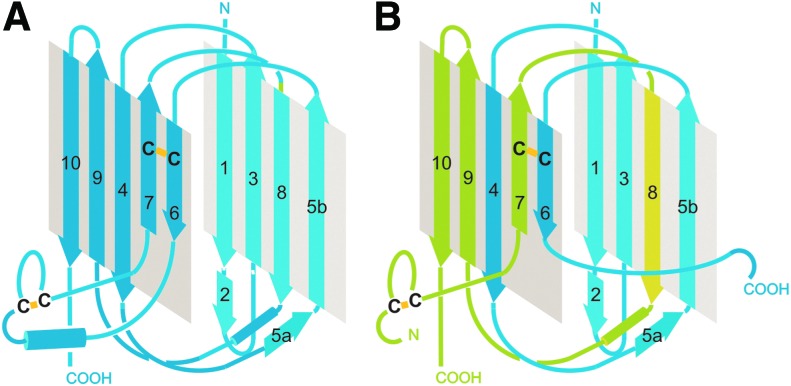 FIG. 6.