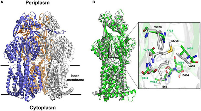 FIGURE 4