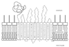 FIG. 7