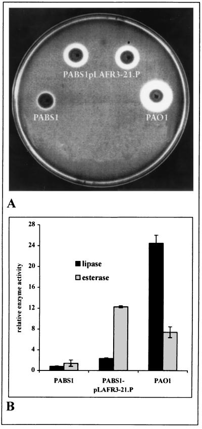 FIG. 1