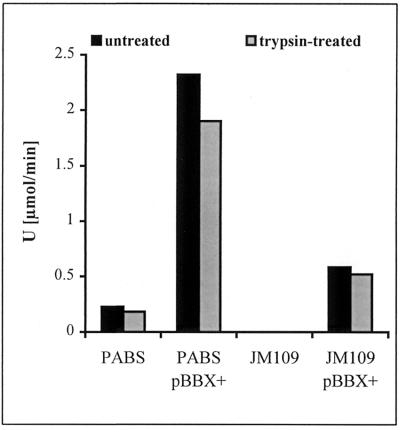 FIG. 8