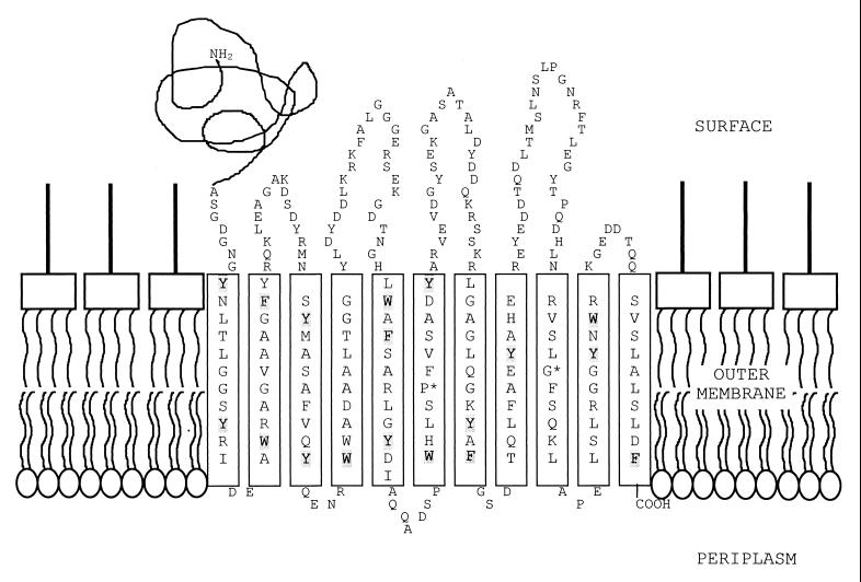 FIG. 7