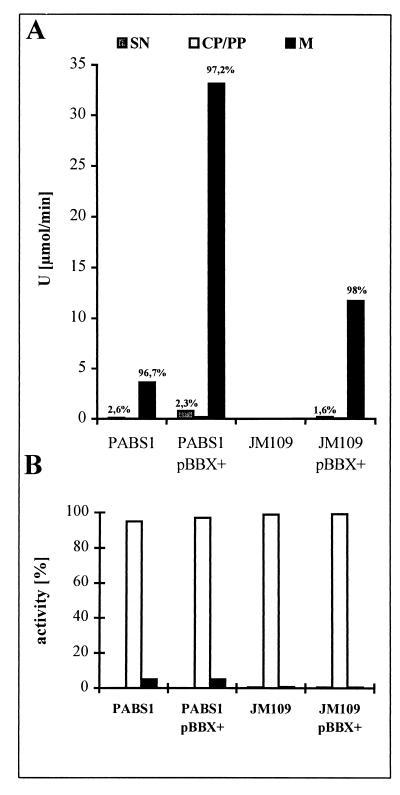 FIG. 6