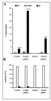 FIG. 6
