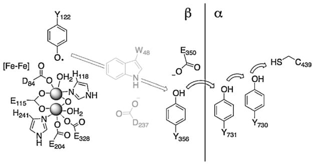 Fig. 12