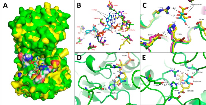 Figure 6.