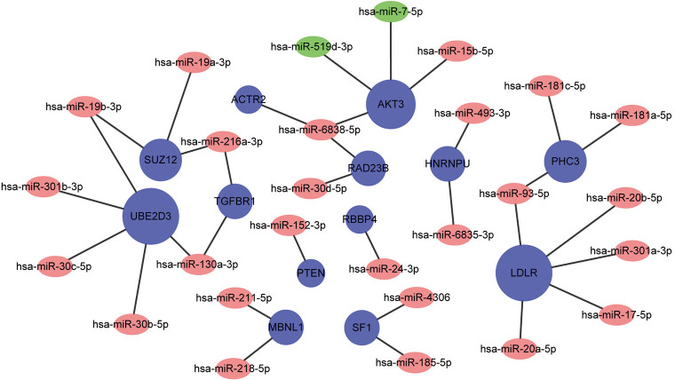 Figure 6