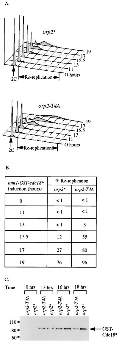 FIG. 5