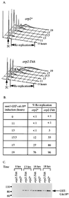 FIG. 5