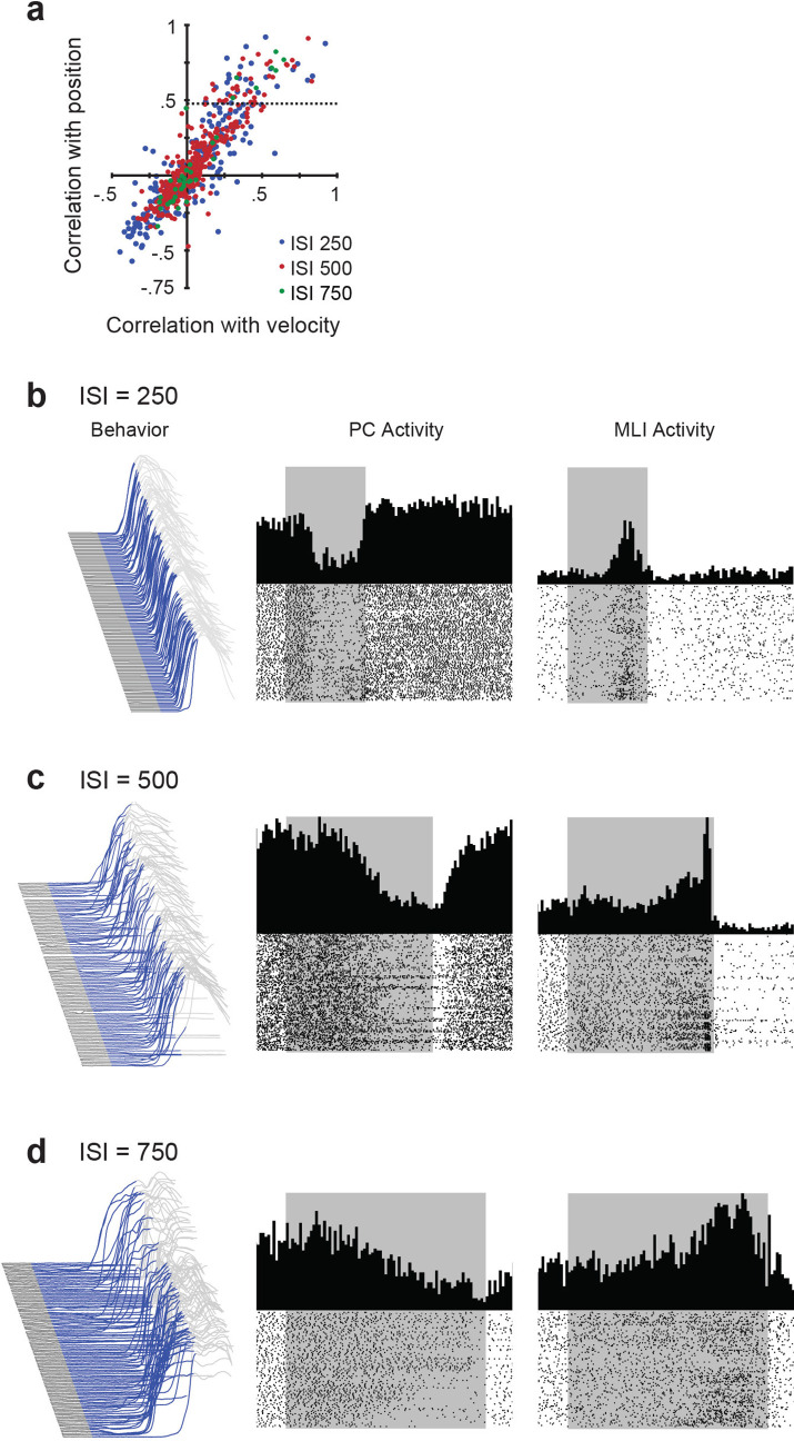 Figure 6—figure supplement 1.