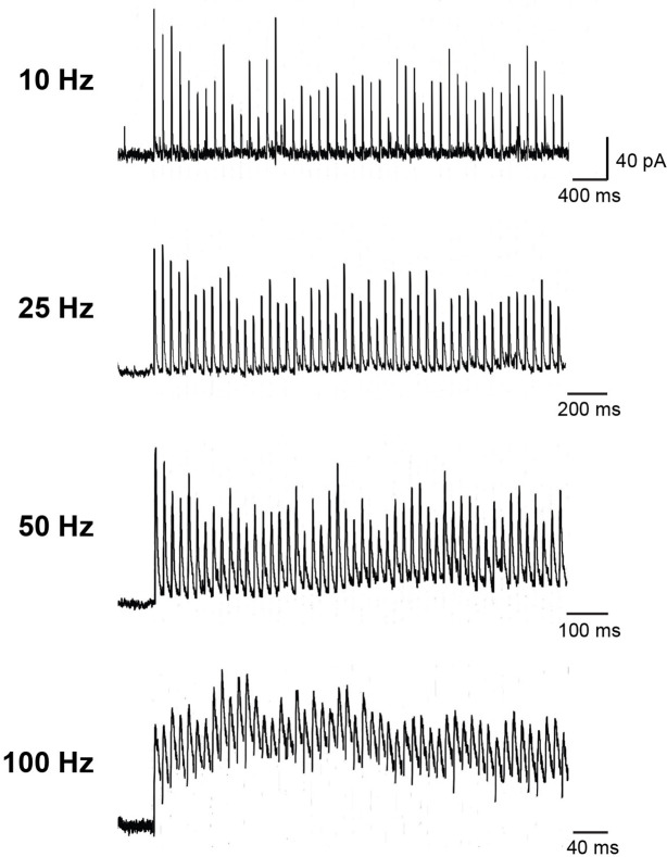 Figure 2—figure supplement 1.