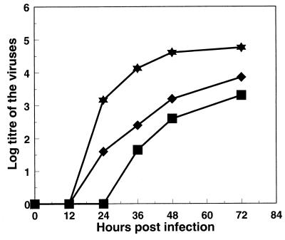 FIG. 3