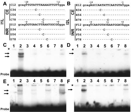 FIG. 6.