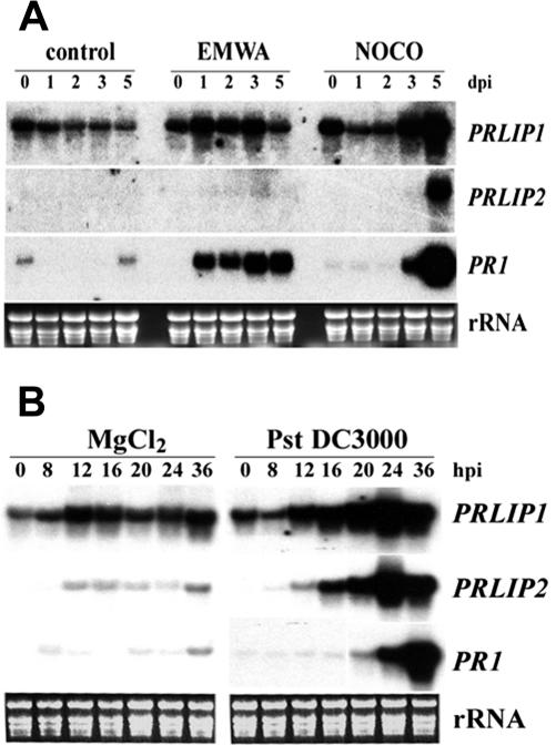 Figure 6.