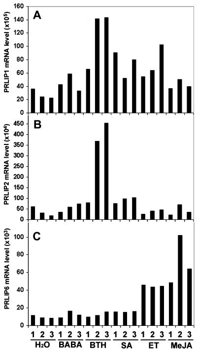 Figure 4.