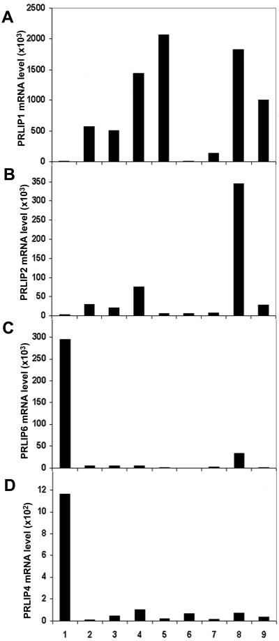 Figure 5.