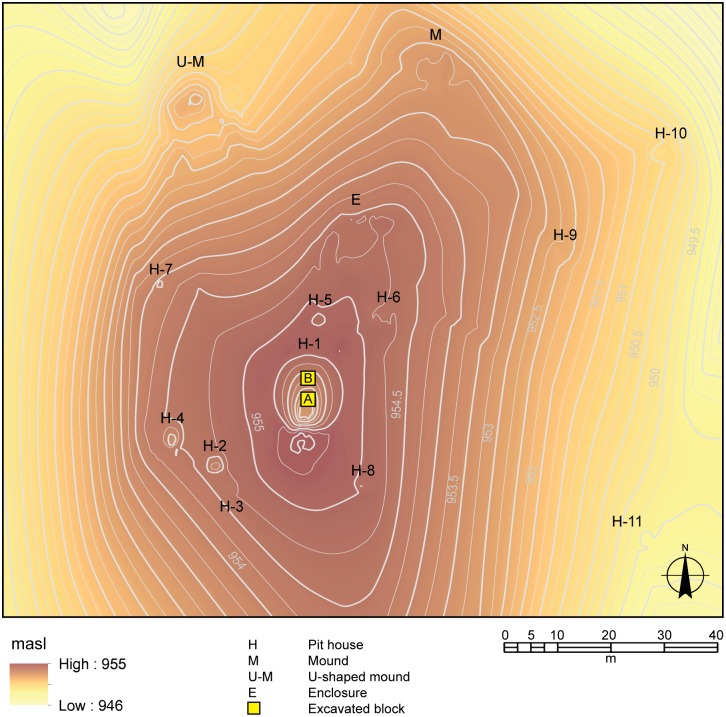 Fig 2