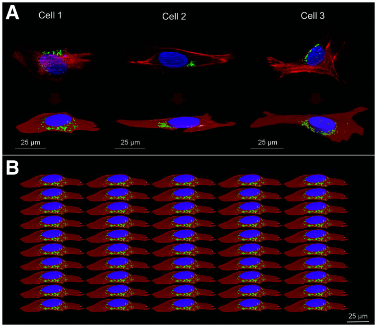 FIGURE 1.