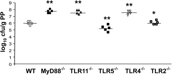 FIGURE 5.