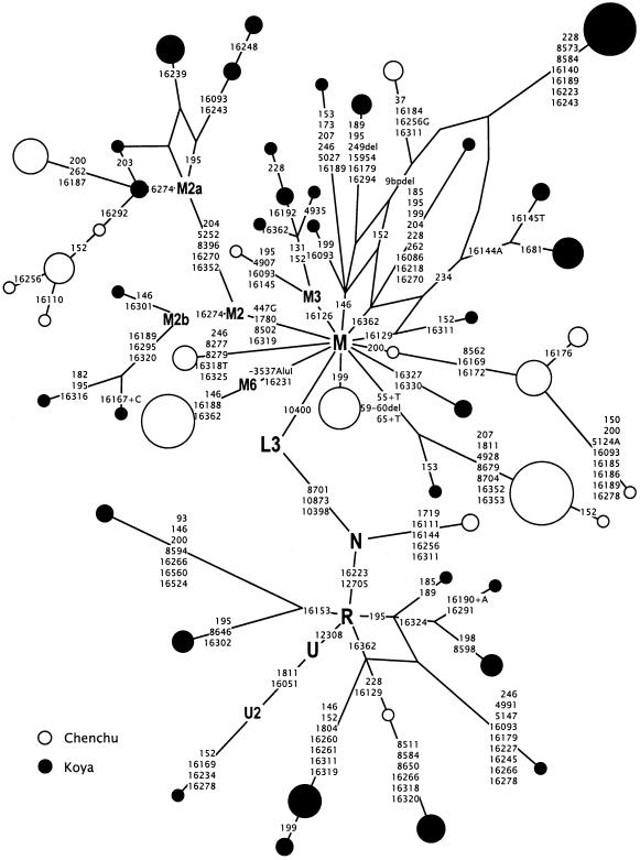 Figure  1