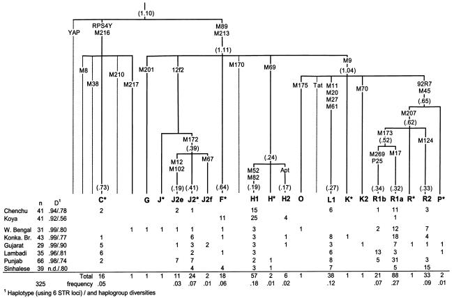 Figure  3