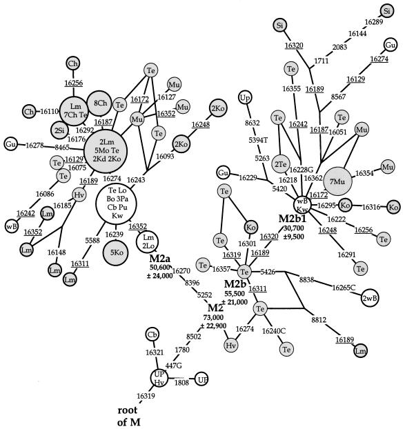 Figure  2