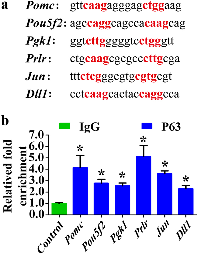 Fig. 9