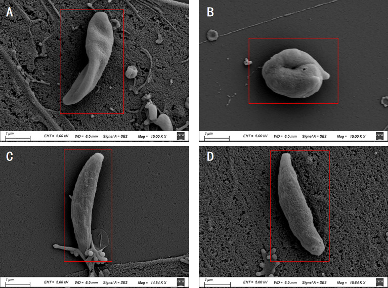 Figure 7