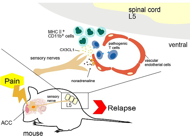 Figure 3