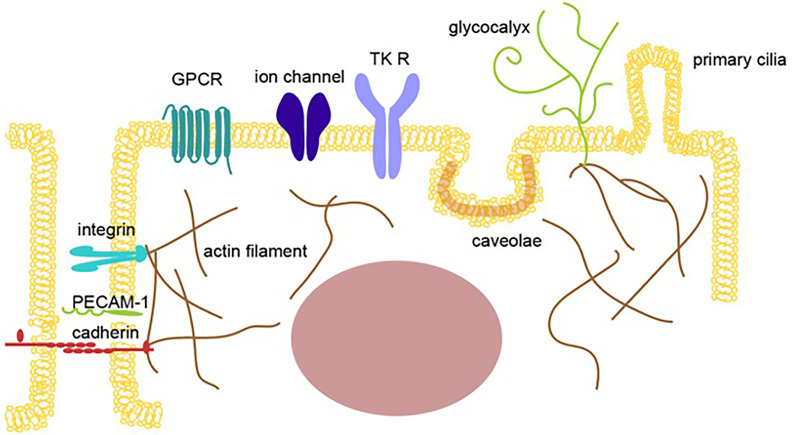 Figure 1