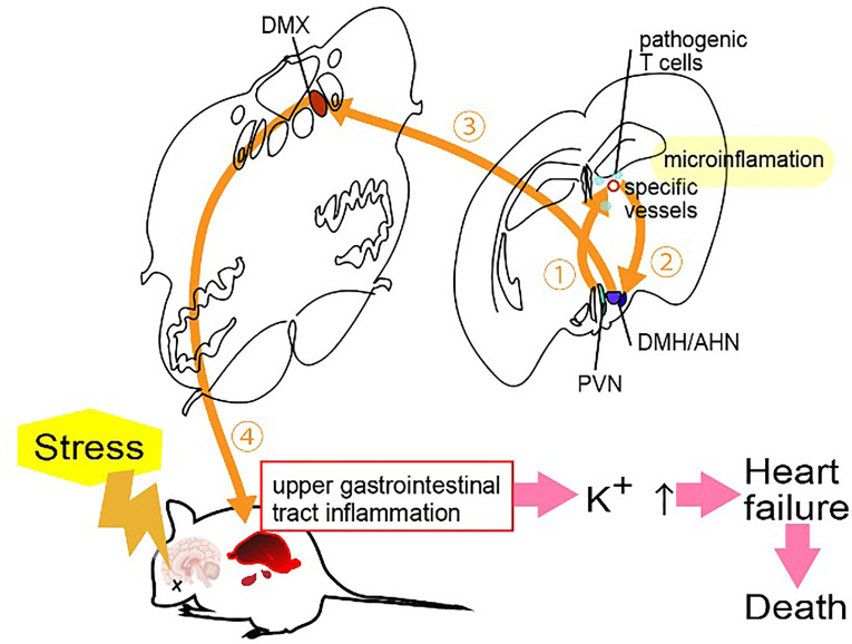 Figure 4