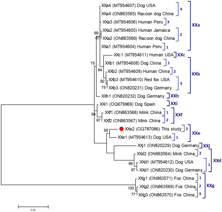 Figure 2