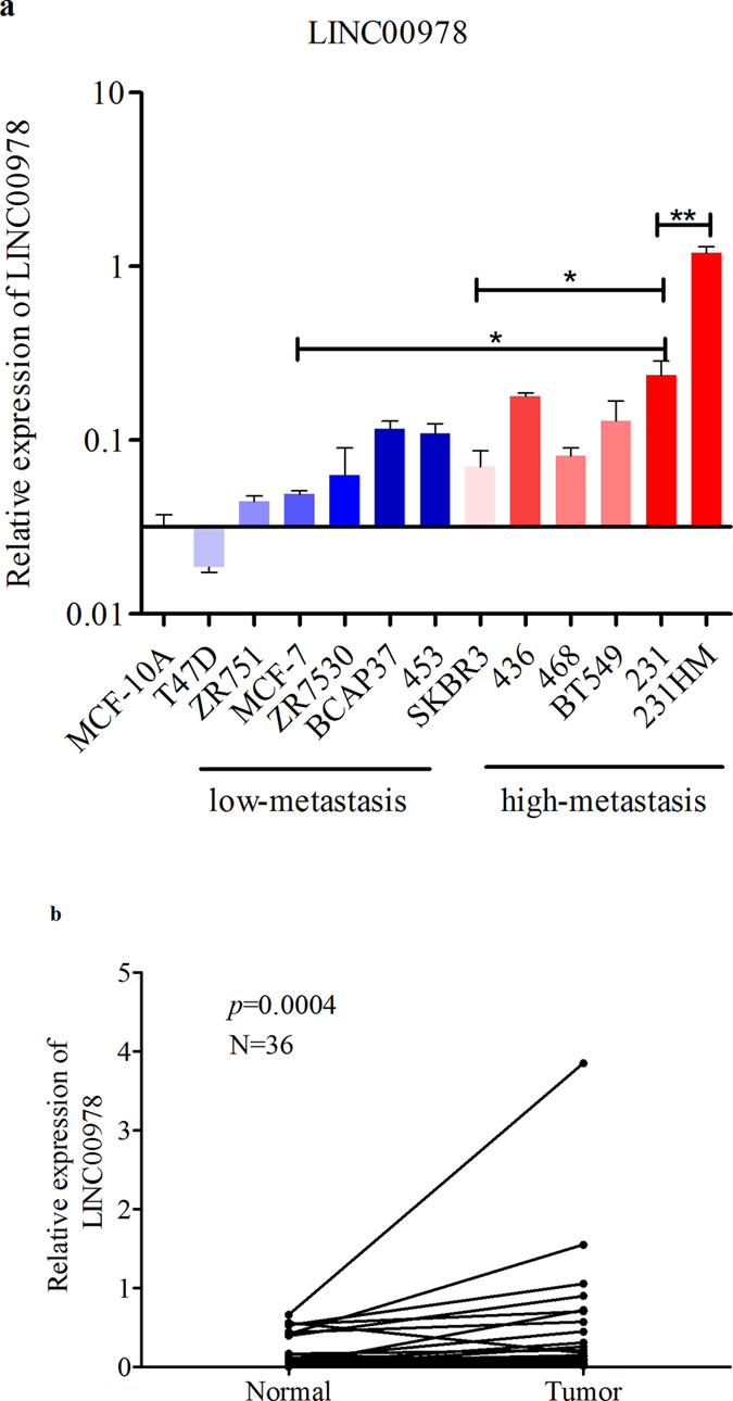 LINC00978 predicts poor prognosis in breast cancer patients - PMC