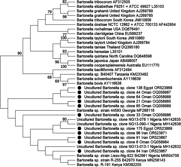 Fig. 2