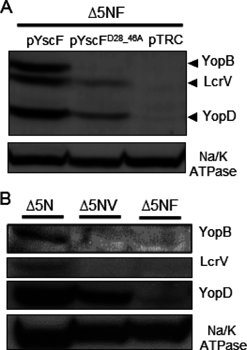 Fig 6