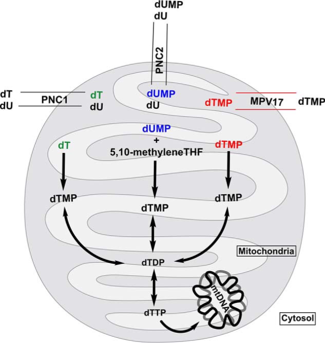 Figure 7.