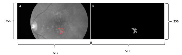 Fig. 3