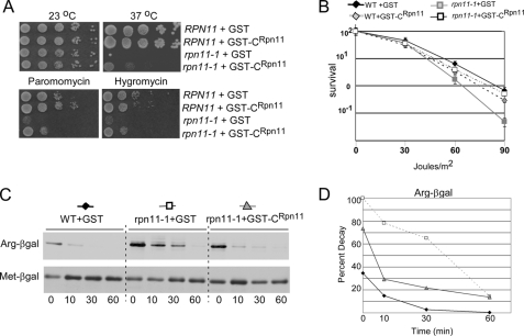 FIGURE 4.