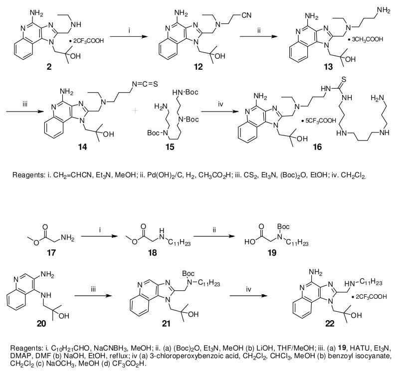 Scheme 2