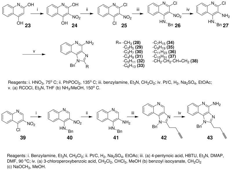 Scheme 3