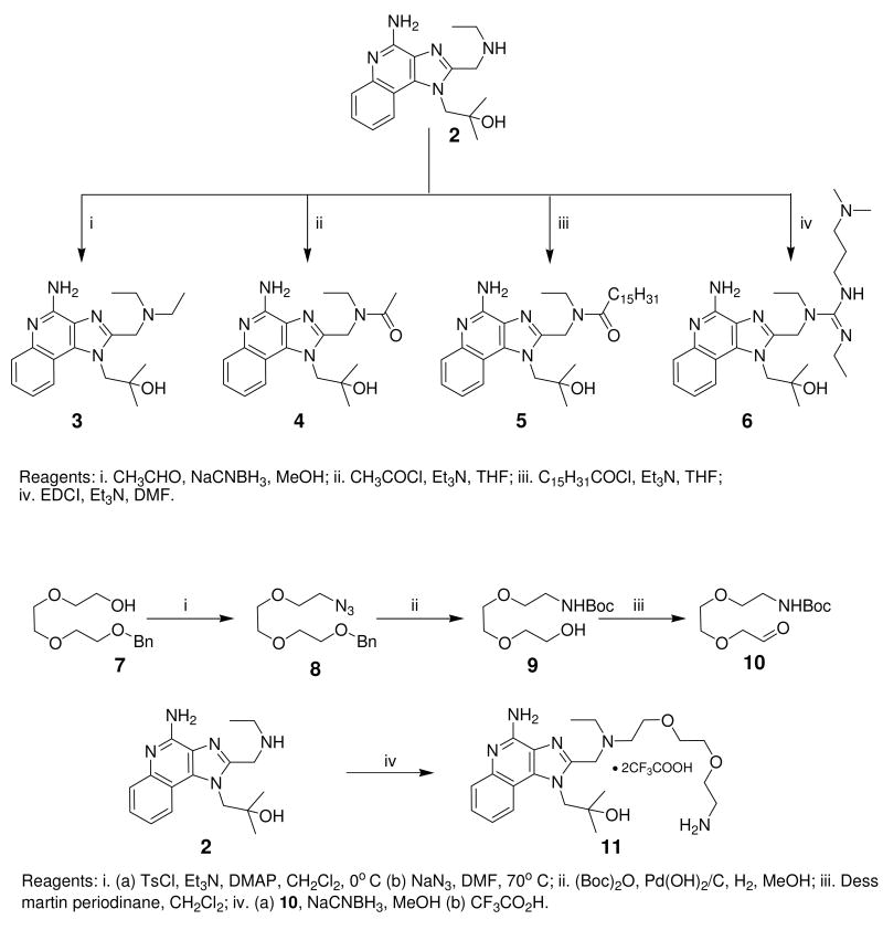 Scheme 1