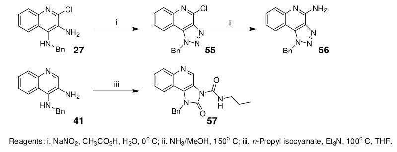 Scheme 6