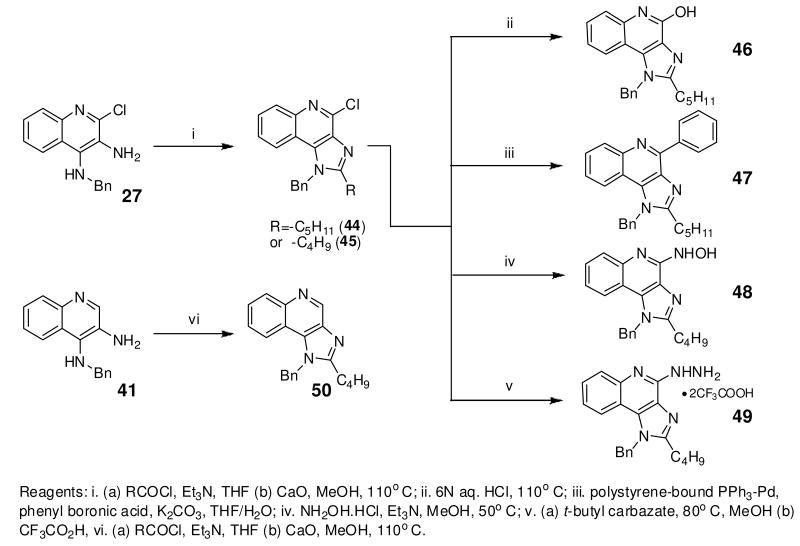 Scheme 4