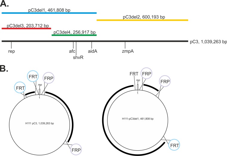 FIG 1