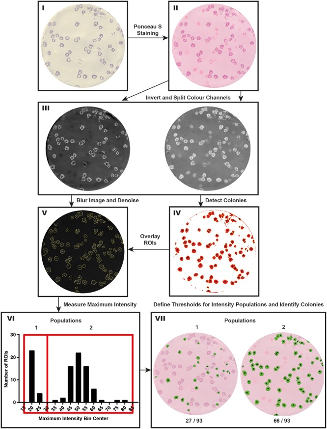 FIGURE 3