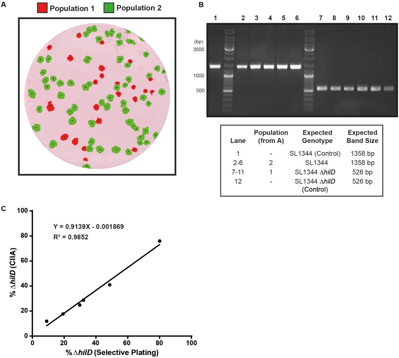 FIGURE 4